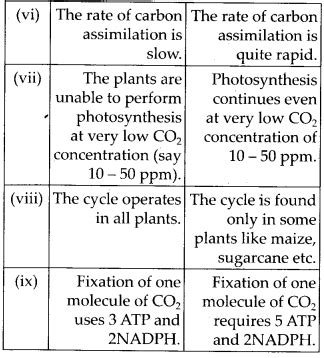 CBSE Class 11 Biology Chapter 13 Photosynthesis In Higher Plants Study