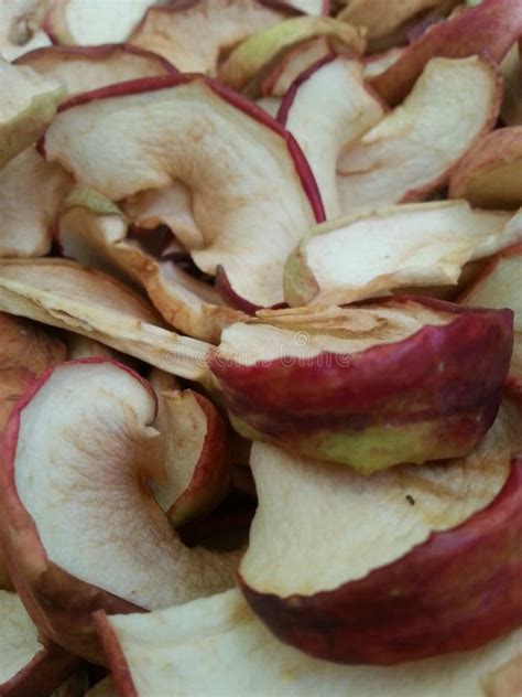 Dry Apples Stock Image Image Of Fall Apple Save Apples 45005513