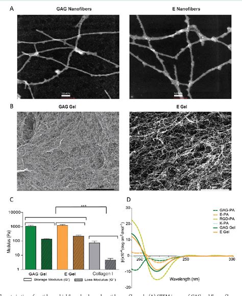 Figure From Glycosaminoglycan Mimetic Signals Direct The Osteo