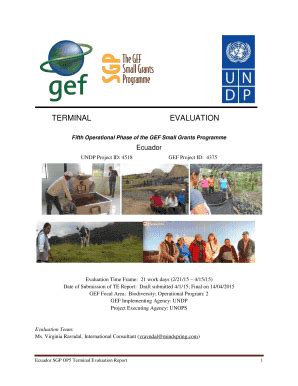 Fillable Online Info Undp Sixth Operational Phase Of The GEF Small