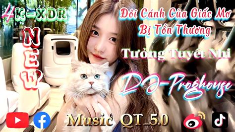 蒋雪儿 梦的翅膀受了伤（抖音dj版）Đôi Cánh Của Giấc Mơ Bị Tổn Thương （hot Douyin