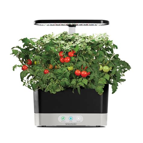 Buy AeroGarden Red Heirloom Cherry Tomato Seed Pod Kit For AeroGarden