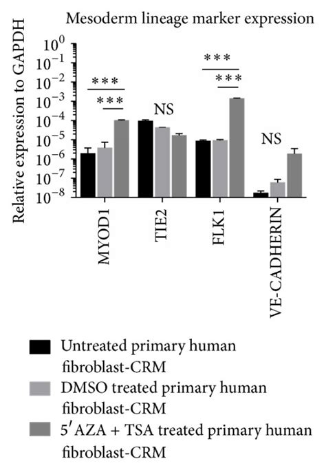 Azacytidine Aza And Trichostatin A Tsa Treatment Of Primary