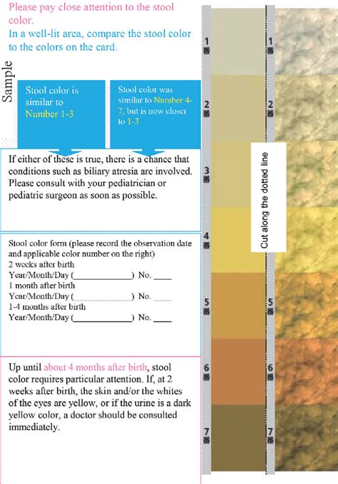 A Sample Of The Current Edition Of Stool Color Card Used In The Present