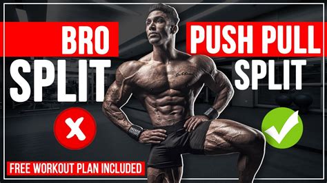 Push Pull Legs Ppl Training Split Ultimate Guide With Off