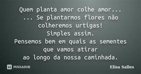 Quem Planta Amor Colhe Amor Se Elisa Salles Pensador