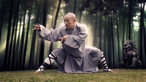 Kungfu Wallpapers Wallpaper Cave