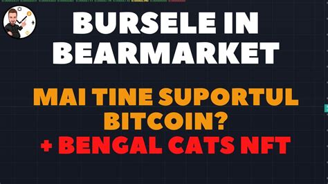 Bursele In Bearmarket Mai Tine Suportul Bitcoin Bengal Cats Nft