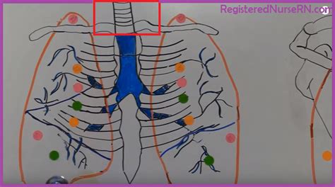 Normal Breath Sounds Audio