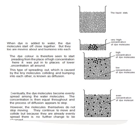 Diffusion Prelim Flashcards Quizlet