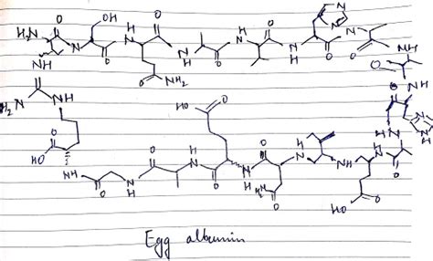 [Solved] 1. Albumin a. Draw the chemical structure for Albumin... | Course Hero