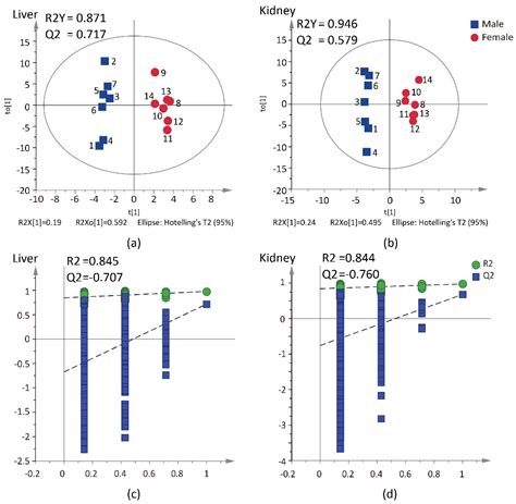 Molecules Free Full Text Sex Differences Of Cardiolipin In Tissue