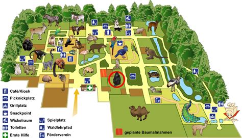 Schopfmakaken Tierpark Gettorf