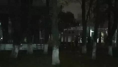 Free Shemale Park Porn Videos XHamster