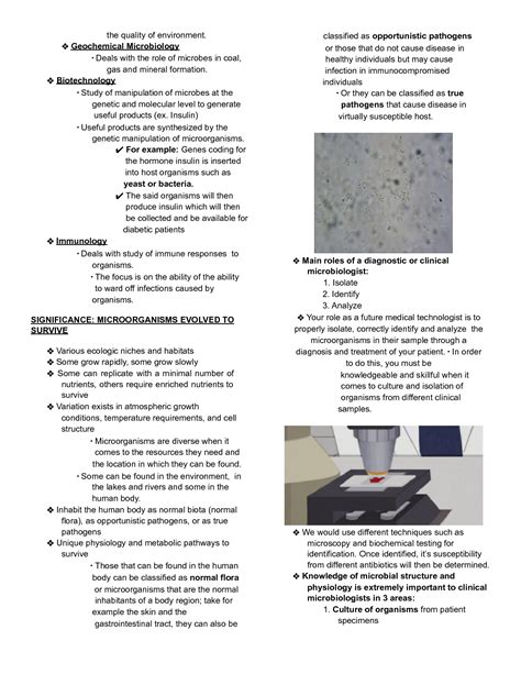 Solution Microbiology Historical Development Divisions Of Microbiology