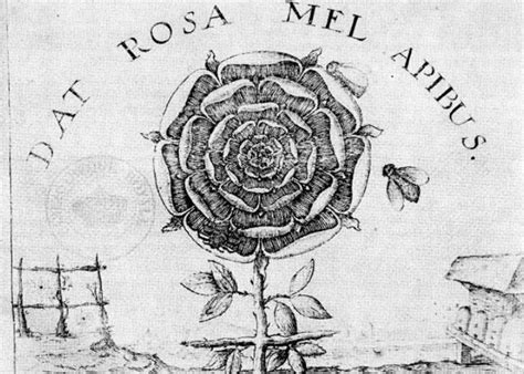 ᐉ Кто такие РОЗЕНКРЕЙЦЕРЫ | История ордена Креста и Розы | Розенкрейцер ...