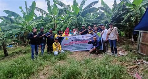 Optimalkan Lahan Dataran Tinggi Gorontalo Kembangkan Pisang Gapi