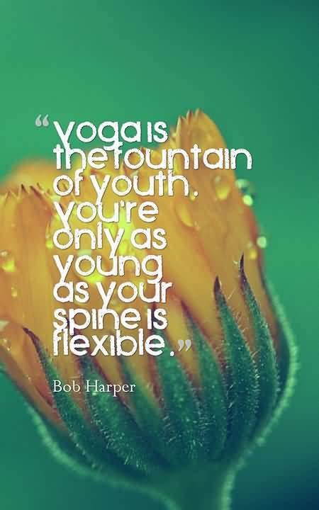 Flexibility Quotes Yoga With Nice Sayings Wish Me On