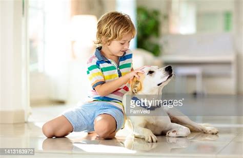 Child Playing With Dog Kids Play With Puppy High-Res Stock Photo ...