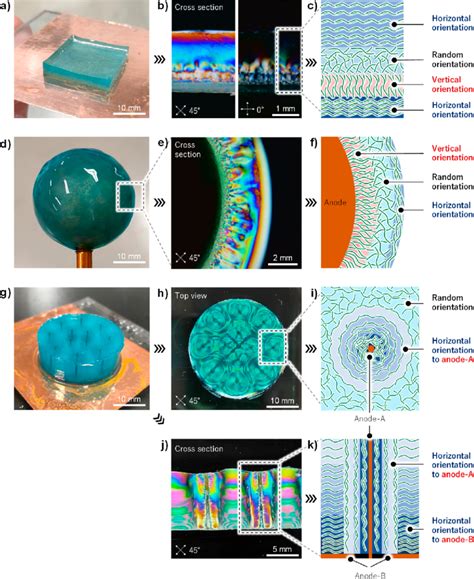 A Multilayered Cnf Hydrogel B Cross Section Of The Multilayered