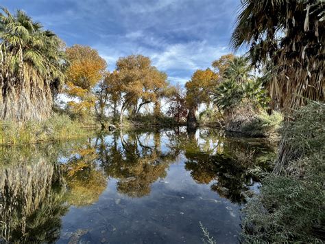 The Living Desert, Palm Springs ⋆ CalExpeditions