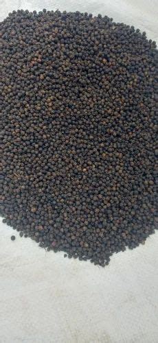 Variety Tellicherry India Black Pepper Packaging Size Kg At Rs