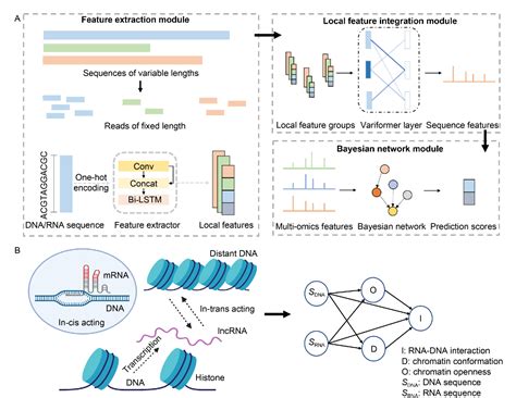 Figure 1 From DeepRCI Predicting RNA Chromatin Interactions Via Deep