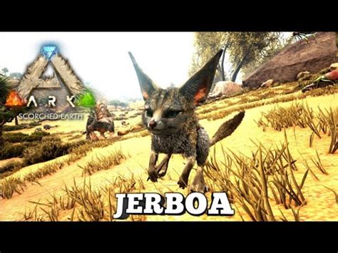 Taming A Jerboa Ark Survival Evolved Scorched Earth YouTube