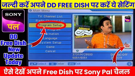 Sony Pal DD Free Dish Par Kaise Laye 2024 DD Free Dish New Update