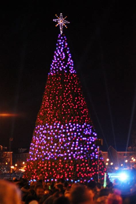 Holly Dazzle Christmas Tree Newport News Va