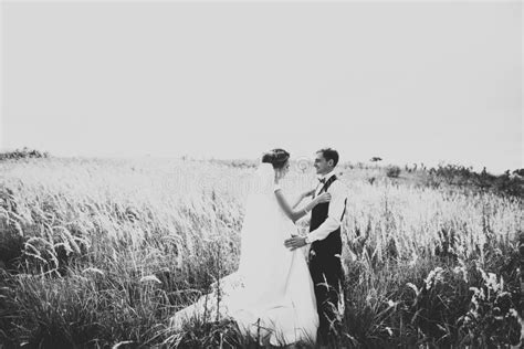 Lovely Wedding Couple Bride And Groom Posing In Field During Sunset