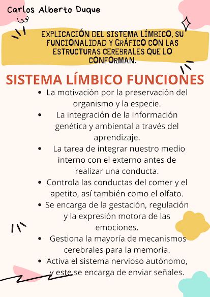 Explicaci N Del Sistema L Mbico Su Funcionalidad Y Gr Fico Con Las