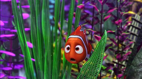 Free Movies Torrents: Finding Nemo (2003) BRRip 1080p x264 [Dual Audio ...