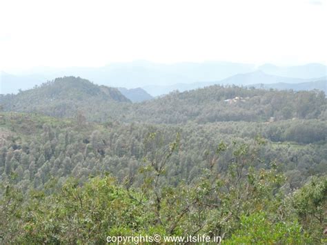 Yercaud | Tamil Nadu Tourism | Hill station of South India | itslife.in