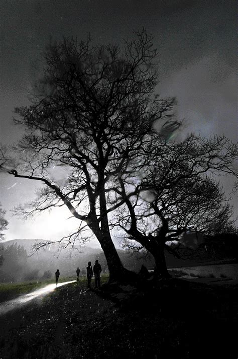 Free Images Landscape Tree Water Nature Branch Silhouette Snow