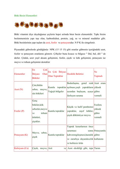 Bitki Besin Elementleri