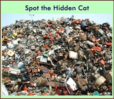 Picture Riddle: Spot the Hidden Cat