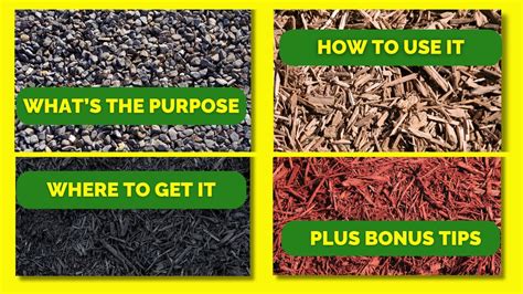 Mulch 101 Types Benefits And How To Get The Most Out Of It Youtube