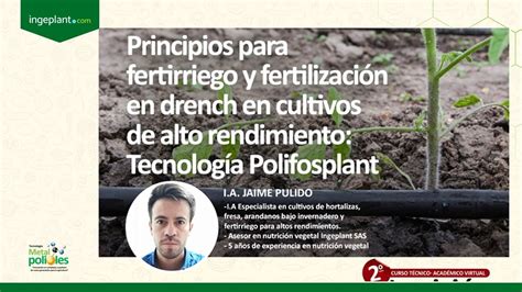 Principios Para Fertirriego Y Fertilizacion En Drench En Cultivos De