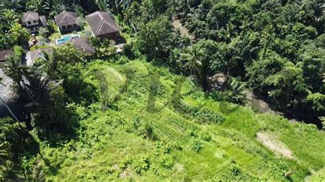 Tanah View Lembah Los Sungai Bongkasa Abiansemal Badung