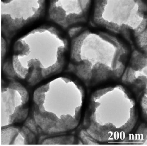 Hr Tem Micrographs Of A Free Standing Nio Nanotube Sheet Reprinted