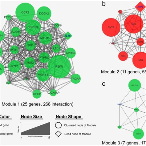 The Three Protein Protein Interaction PPI Hub Network Modules The