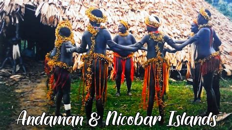 Anthropological Museum Of Andaman Nicobar Islands Youtube