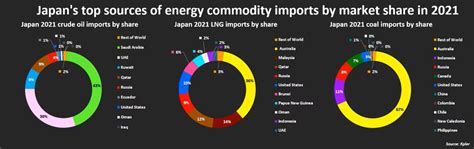 Fossil Fuel Imports Risk Japans Energy Security