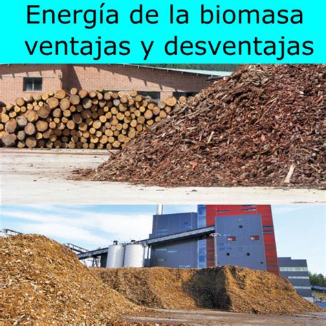 Energia De La Biomasa Ventajas Y Desventajas Ejemplos