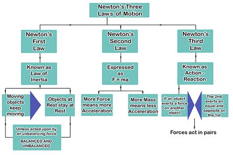 Newton's Laws Concept Map