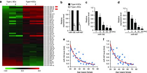 Mir B Cluster Was Strongly Expressed In Cd Hi Emcn Hi