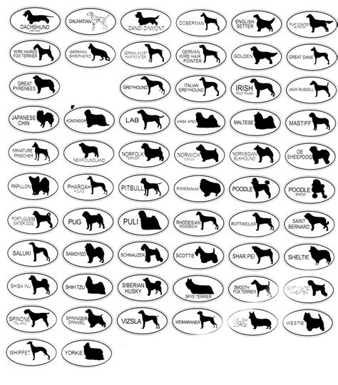 Dog Breeds Pictures Chart