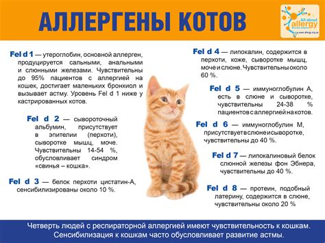 Аллергия на животных развивается в детстве - Все про аллергию