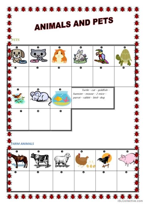 337 Pets English Esl Worksheets Pdf And Doc